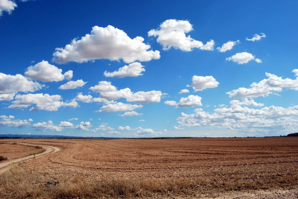 land appraiser